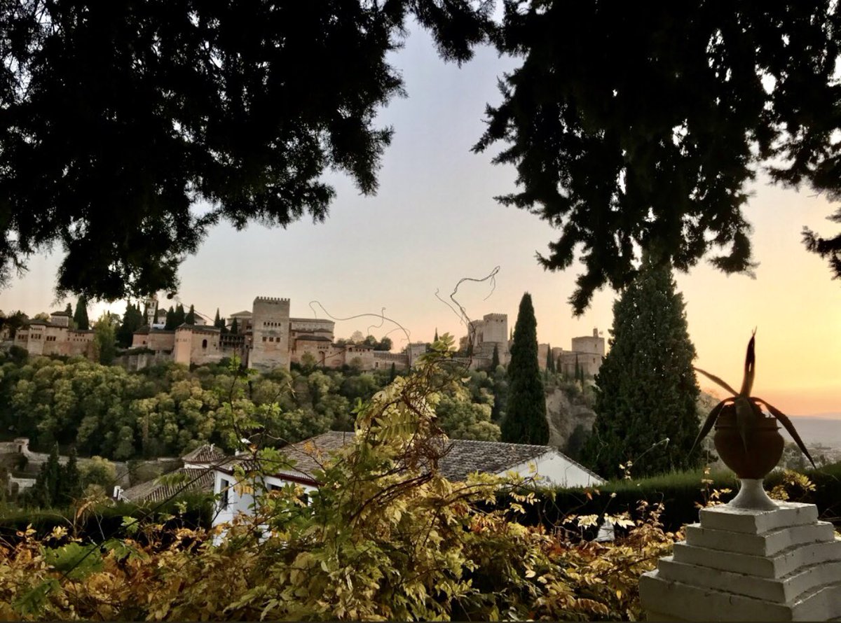 ✨Amparo Soler Domingo ✨𝒜.𝒮 tweet media