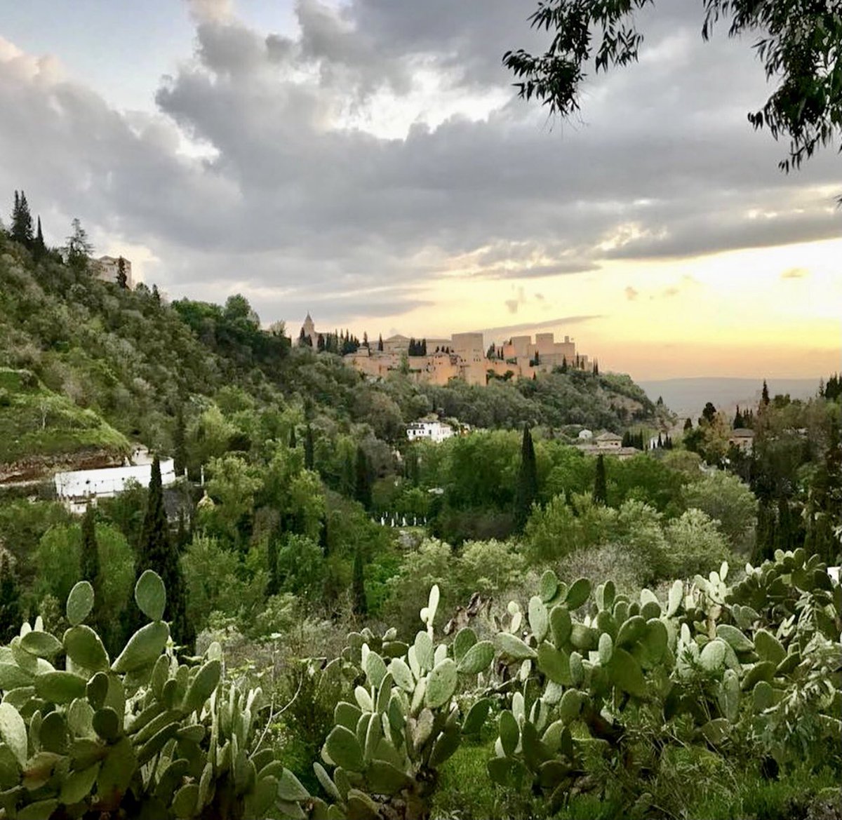 ✨Amparo Soler Domingo ✨𝒜.𝒮 tweet media