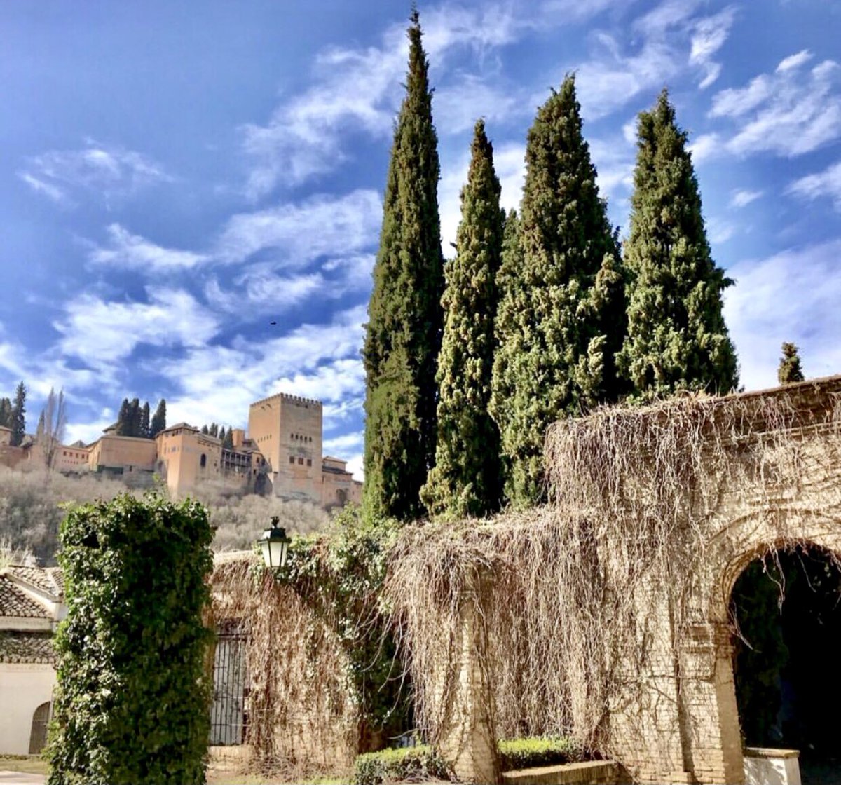 ✨Amparo Soler Domingo ✨𝒜.𝒮 tweet media