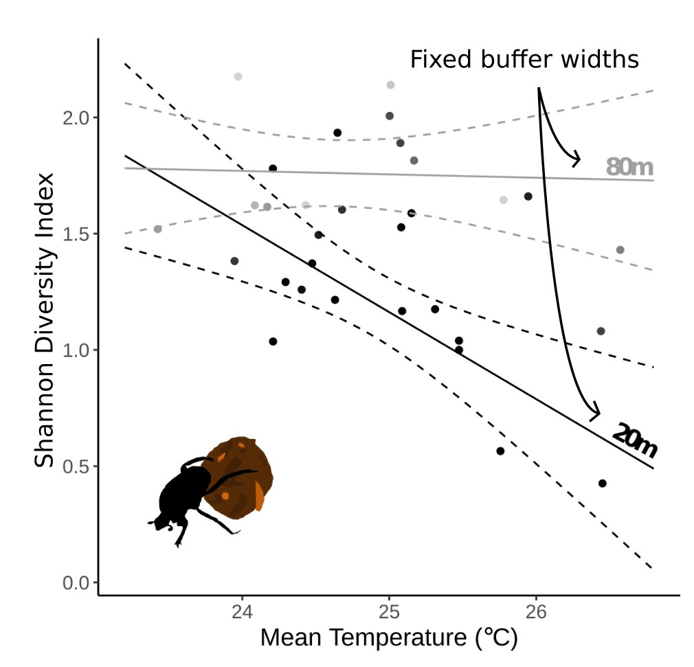 But how does all this affect biodiversity? Using a few plastic bottles and a bucket of human faeces (high-tech ) we show that dung beetle diversity is synergistically negatively impacted by narrower and hotter/drier buffers!  @EleSlade   @RobKnell1 8/n