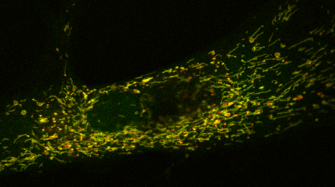 Skin Life Analytics tweet media