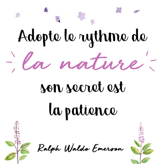 Aroma-Zone tweet media