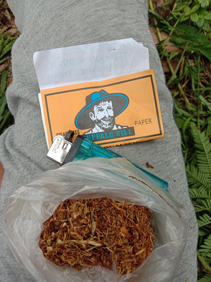 ShillBang's tweet photo. Selamat sore selamat petang
Semoga rasa penat menghilang
#GoodEvening
#sebats
#tobacco https://t.co/fPBvQqIsj1