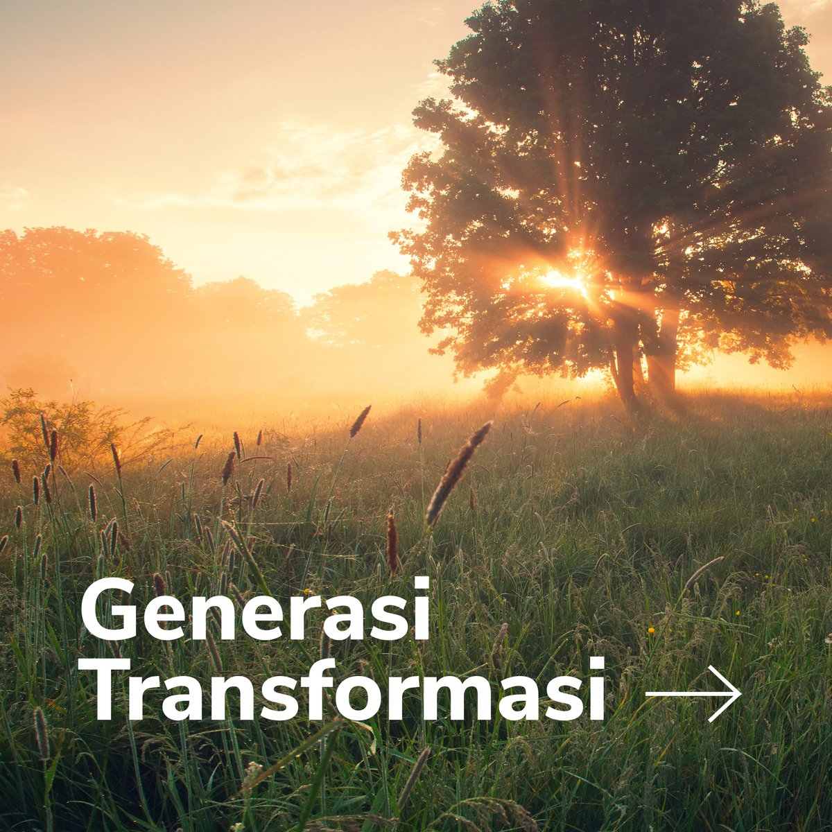 William Tanuwijaya tweet media