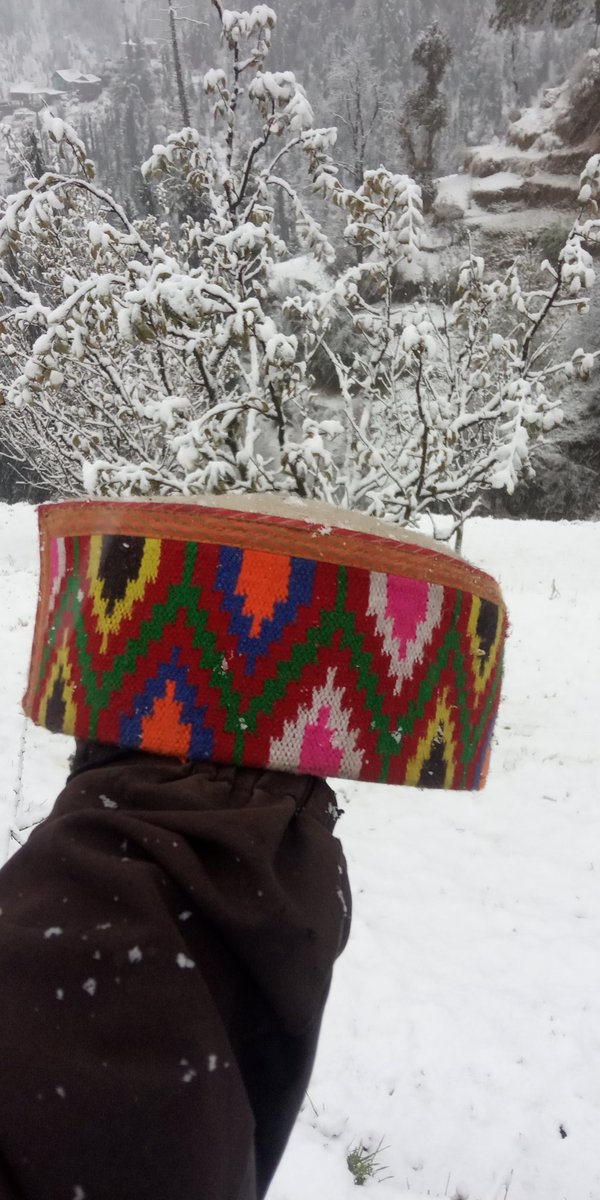 inder_O8's tweet photo. #firstsnowfall2020 😍 #himachalitopi 🕉🕉 https://t.co/QHmPV8zZ9j