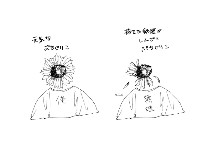 枯れたりもする 