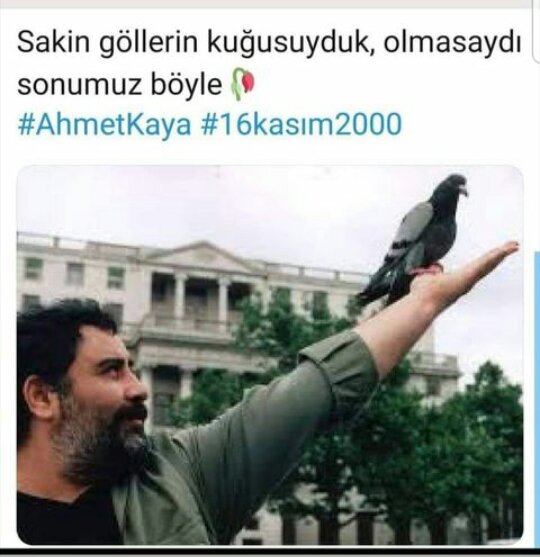 #AhmetKaya