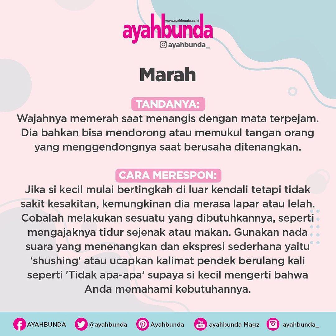 Ayahbunda's tweet photo. #Bayi #Infobayi #babycare #ekspresibayi #ParentingTips #Ayahbunda https://t.co/6FYuQ0YXev