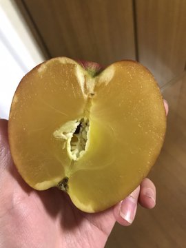 当方りんご農家なんですけど こんなん初めてみました100%蜜りんご @k_izumi99 りんご農家ですがそれは銀葉病によって過剰に蜜入り（水分が蓄積されること）病害によってお...