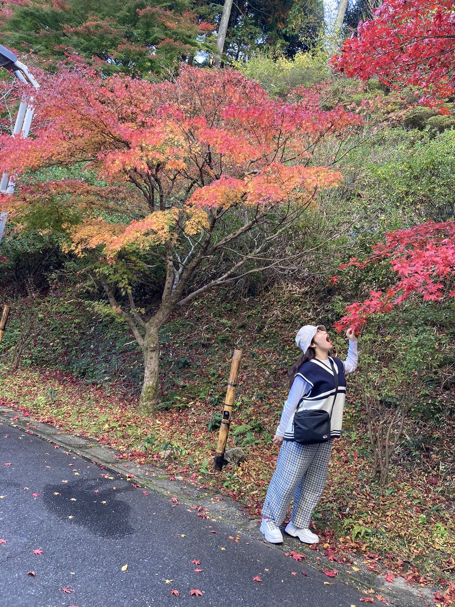 swoopscheer tweet picture