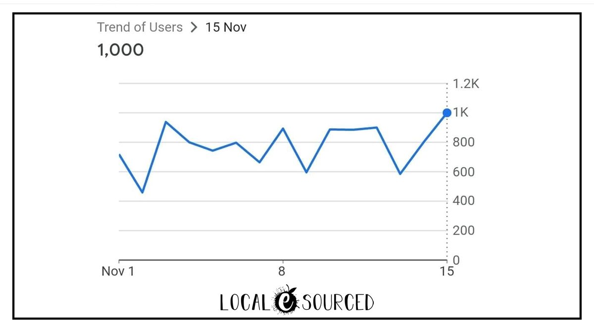 Yesterday, we reached over 1000 unique users to the website in a single day! We're excited about this as many people are hearing about the fantastic products that we have to offer &amp; that is exactly why we set up this project – to promote &amp; celebrate independent businesses!