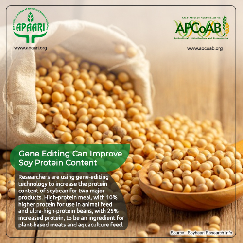 APCoAB's tweet photo. Gene Editing Can Improve Soy Protein Content
Improved #soybean meal #soybased meat and #aquaculture feed can be provided by #geenediting
Source: https://t.co/It3F4k9rIQ https://t.co/uDB70SDmpF