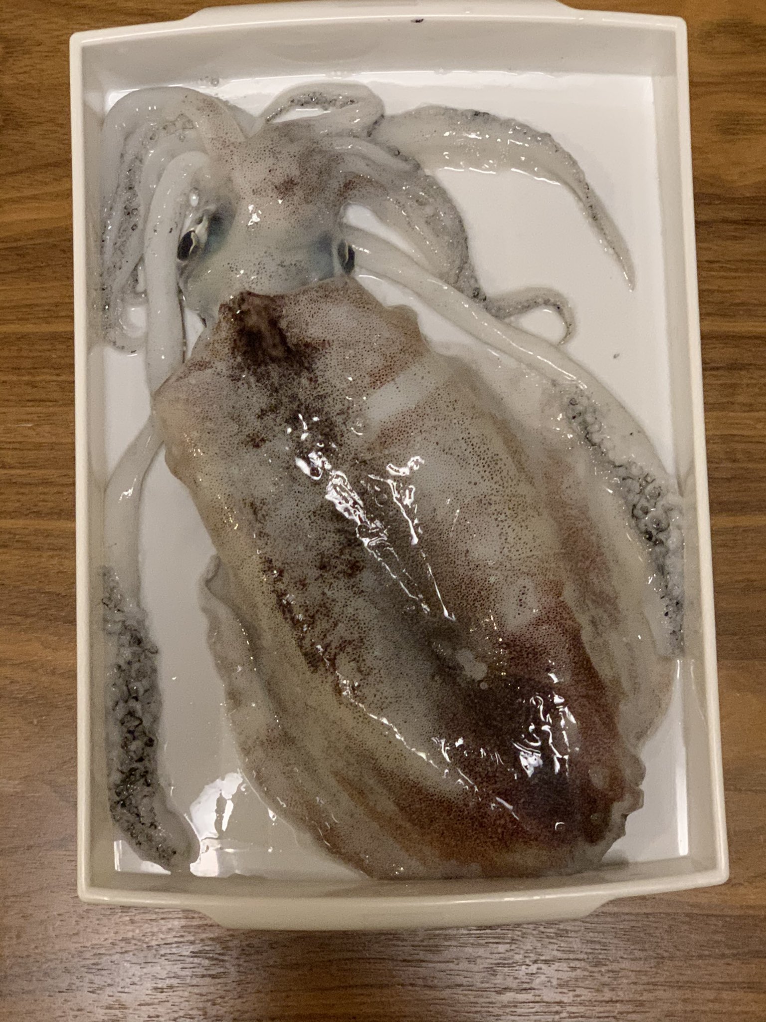 佐野まいける Twitter वर 自分で釣りあげたアオリイカを 自分の手で解剖するというのは興奮で震えますね 特に大きいイカを解剖するのが好みなので今回はとくに 墨袋の扱いをミスったので途中からグダグダになってしまったが ものすごく楽しめました T Co