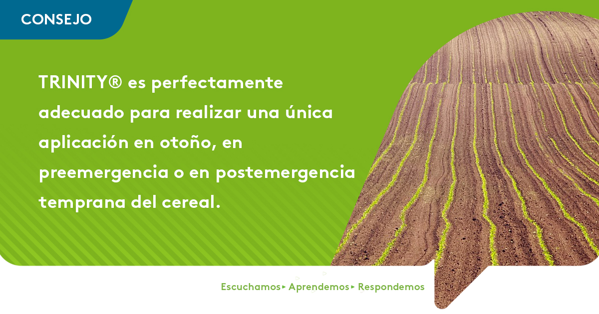 ADAMA España tweet media