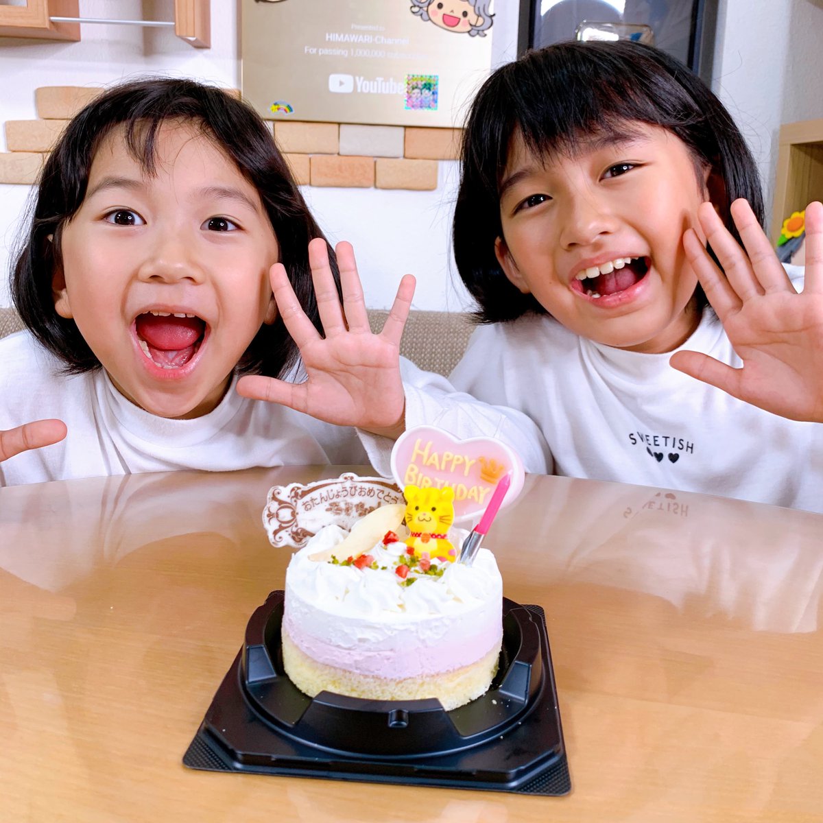 先日のモカちゃん1歳になりました😊 プレゼントの猫コタツ気に入って