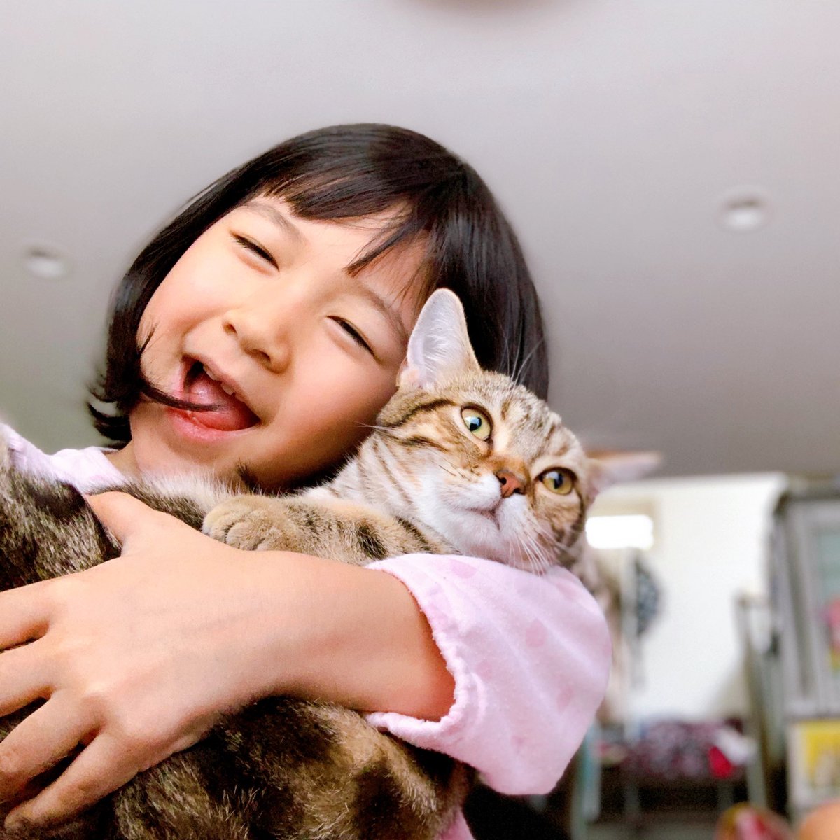 先日のモカちゃん1歳になりました😊 プレゼントの猫コタツ気に入って