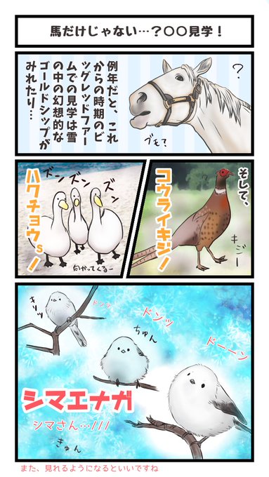 ゴールドシップを愛でるシリーズ を含むマンガ一覧 リツイート順 ツイコミ 仮