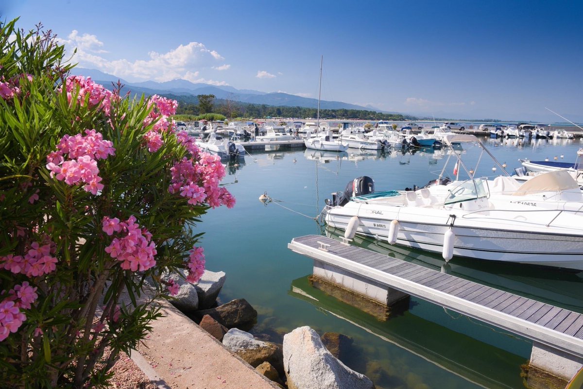 Justcorsica's tweet photo. 2021 NOW ON SALE!💘☀️

Corsica will be welcoming visitors next summer for holidays with beautiful beaches for your well earnt rest and relaxation! We are open during lockdown and we are looking forward to discussing &amp; booking your holiday for next summer!
https://t.co/yuwQ4Ro1qH https://t.co/ArBGg7FvxT