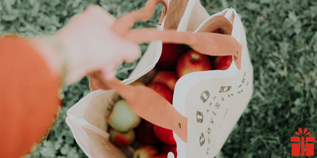 Tote bags zijn praktisch, vallen op en er is veel ruimte voor personalisatie. Een echte win-winsituatie dus. Wilt u een tote bag bedrukken 🛍? Laat u inspireren door deze blogpost 👉 euro.gifts/2UsFwmc.