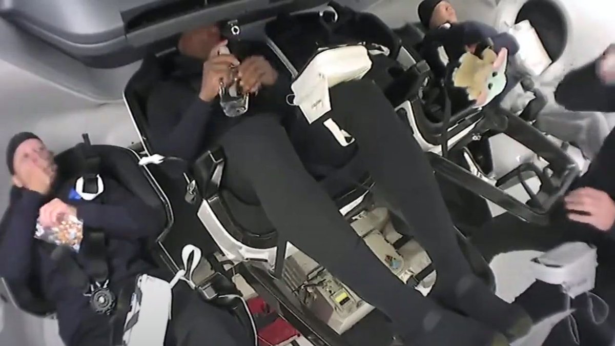 BillHuntBits's tweet photo. Ladies and gentlebeings of Planet Earth, we have our zero-G indicator. And the Force is with him. #BabyYoda #Crew1ForAll @StarWars @TheMandalorian https://t.co/jL1UhAe46w