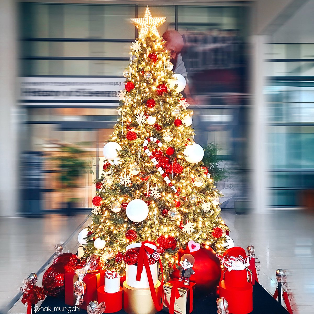 hak_mungchi's tweet photo. 크리스마스🎄가 코앞

#주학년 #JUHAKNYEON #주학년인형 #학뭉치 #뽀학이 https://t.co/Dz6GoXeZ41