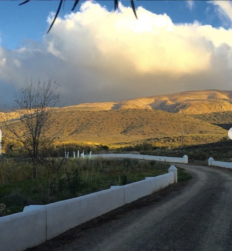 Prince Albert Tourism tweet media