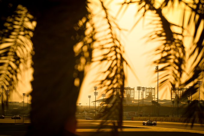 PITWALKmedia's tweet photo. Neuer #Podcast: Saisonfinale der @FIAWEC in @BAH_Int_Circuit und der @IMSA in @sebringraceway. Mit Rob Leupen von @Toyota_Hybrid am Mikro von #PITWALT-Chef Norbert Ockenga.

https://t.co/4kqLCZUsGQ

Retweetet mal!

#PushPitcast

@Toyota_DE https://t.co/LfQA5L65Bv