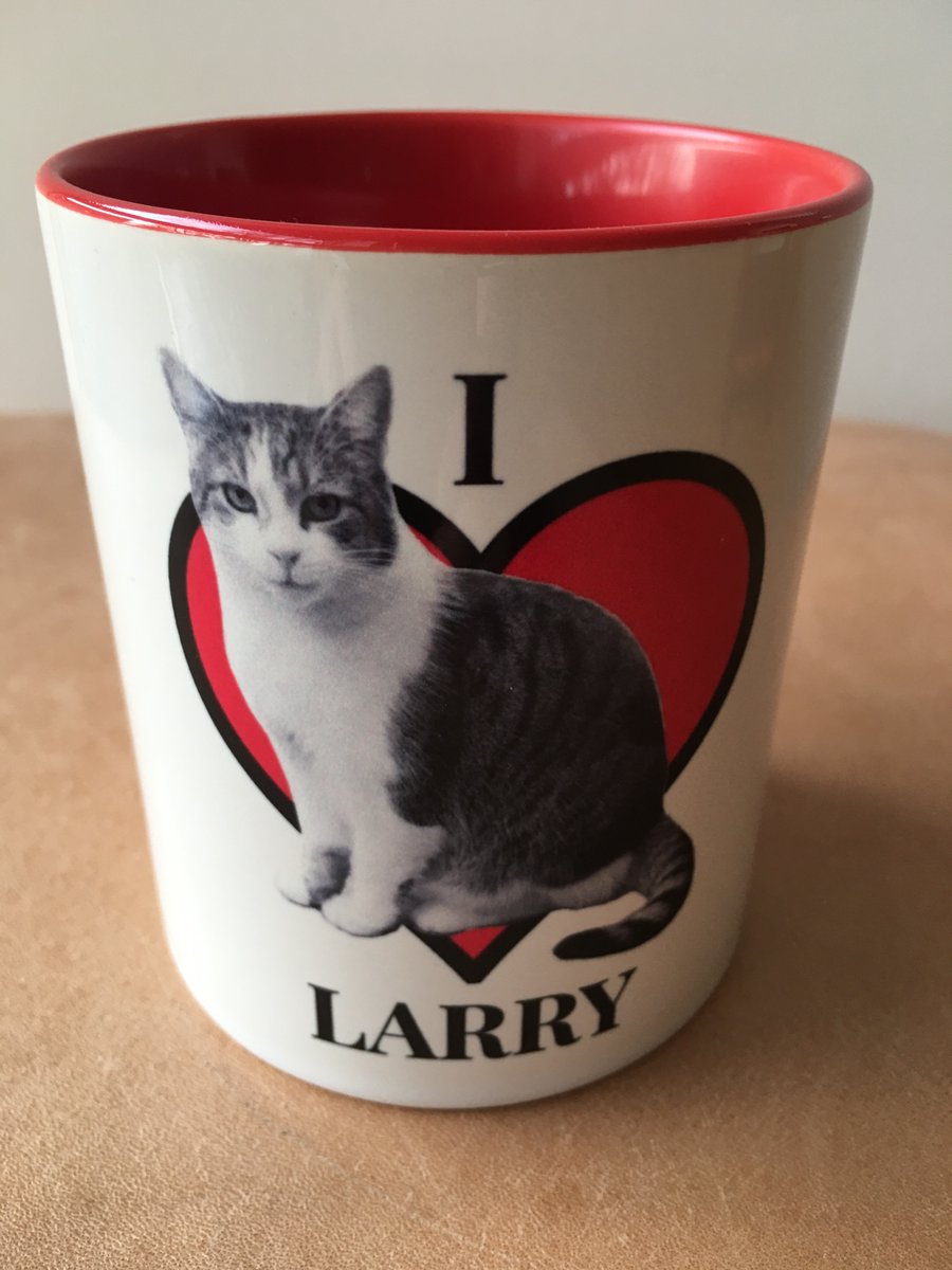 Rumba Foundation tweet media