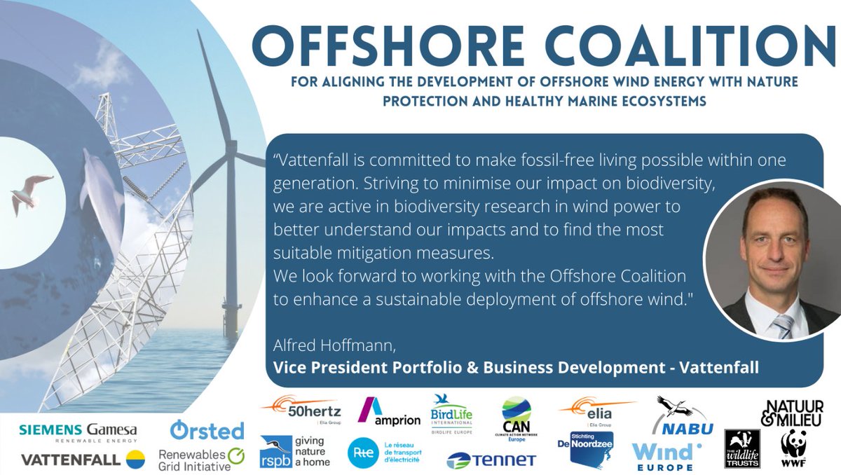 Ahead of the publication #OffshoreRenewableEnergy Strategy #Vattenfall joins the #offshorecoalition for aligning the development of #offshorewind #energy with nature projection and healthy marine ecosystem #energyandnature