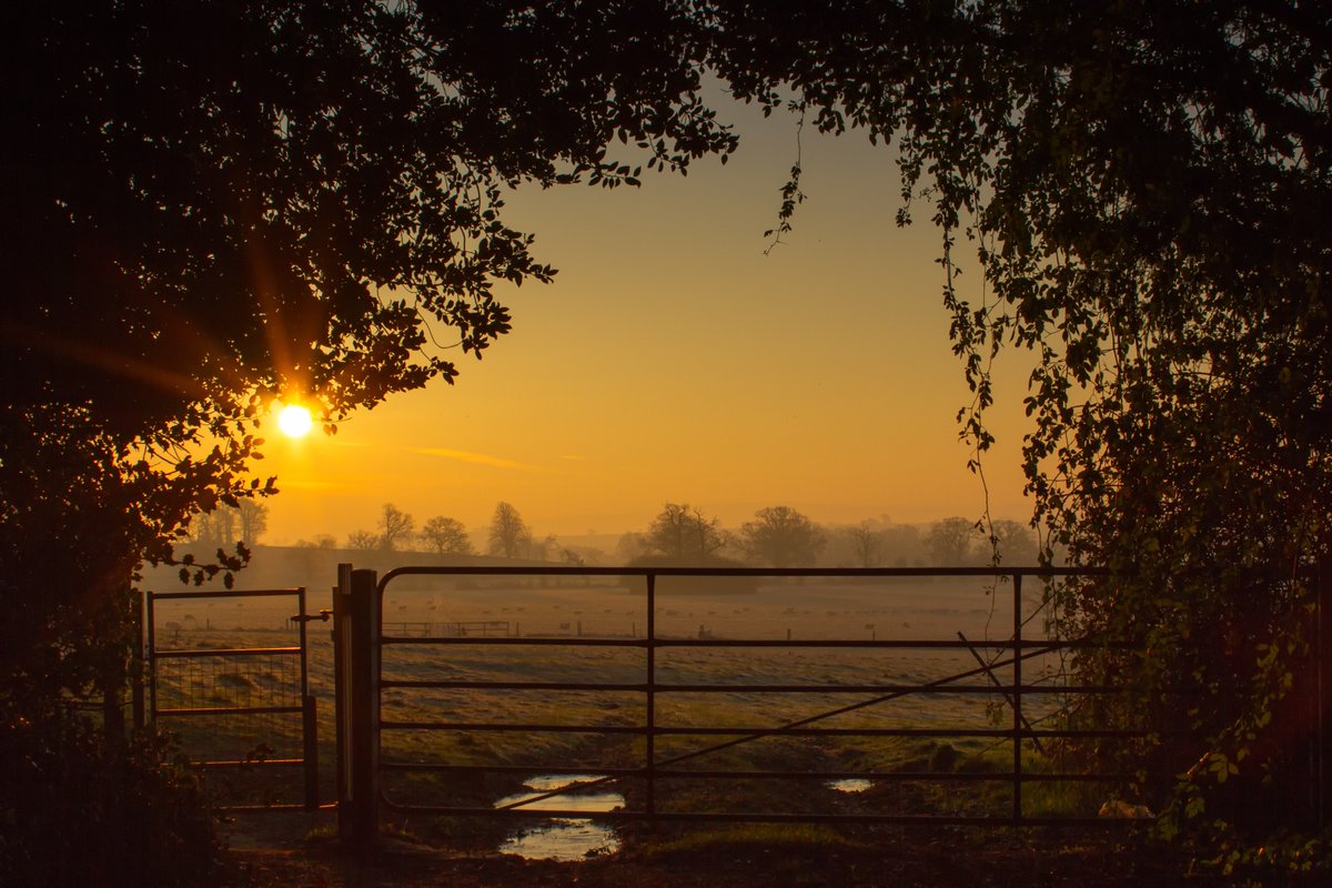 sworders_uk's tweet photo. LATEST NEWS - The @UKGovernment’s Landmark Agriculture Bill passed into UK law on 11 November, and will provide a boost to the industry. #agriculturebill #boostforfarmers
https://t.co/tTINxxBcTB https://t.co/hvUMLXYar7