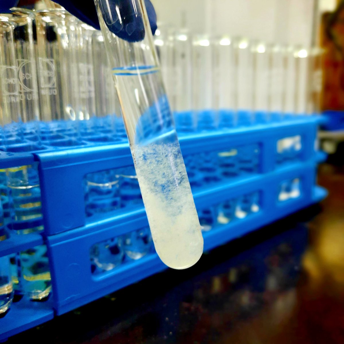OpsenicaLab's tweet photo. Starting a week with a really nice column chromatography 🥼🧪
#mondaymotivation #testtube #chem #university #realtimechem #opsenicalab #chemistry #orgchem #lookatthatblue #science #research #phd #lablife #serbia #nature #gradschool #opsenica #phdlifestyle #compoundchem #compound https://t.co/xSG6ij1xag