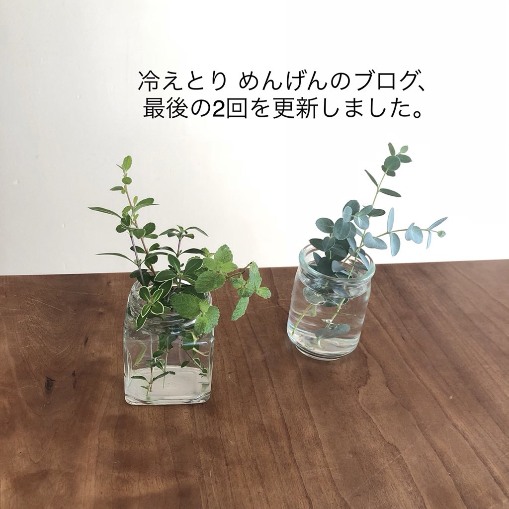 青木美詠子 冷えとりのめんげんの まとめっぽいブログ 更新しました 私にしては たくさんの方にアクセスしていただいたようで感謝です 地道に冷えとりを続けていらっしゃる方も多いのだと思いました 初めて知った方は ぜひ 冷えとり 始めてみて