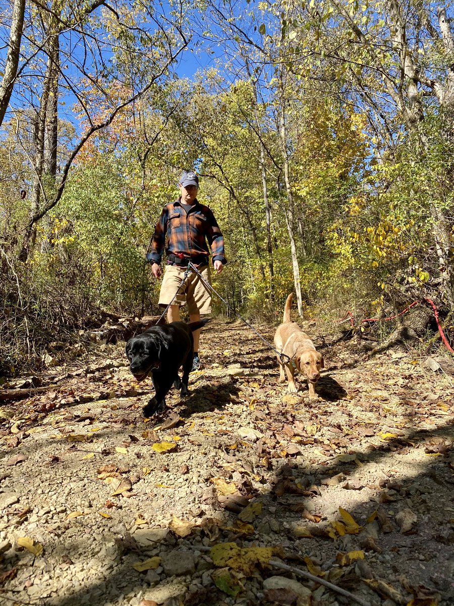 FitLabDeepCreek's tweet photo. #MondayMorning #ColdWeather #LifestyleHack from #FitLabPGH #podcast (link below): the @KITSBOW Icon Shirt is a perfect #Fall shirt for #hikingwithdogs & #cycling
#StayWarm #KeepMoving #MoveMore #pghdogs #FlannelSeason
https://t.co/qKXQj2n9vl https://t.co/KmYMap1VG9