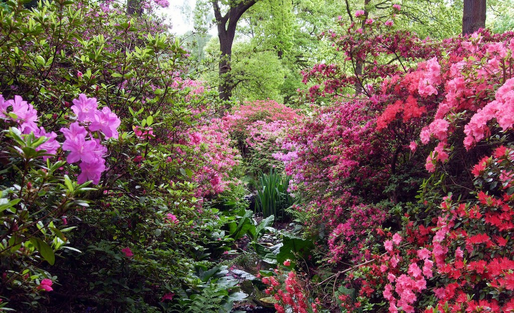 TattianaMariel's tweet photo. Happy new week to everyone. 🍀💜
🌸🍃🌿🍃🌸🍃🌿🍃🌸🍃🌿🍃🌸 https://t.co/TT86qsoX9D