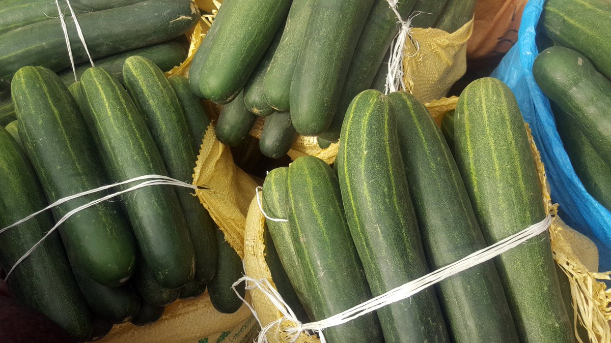 bunkasangr's tweet photo. From Mile 12 International Market (@mile12marketngr), Lagos the current wholesale price of Cucumber (Bag) is  NGN 3,500.

Date: 16-11-2020

#DailyPriceUpdate #PriceInformation #Bunkasa #Farashi #Mile12 #Mile12Market https://t.co/Bb7q3YnpVR