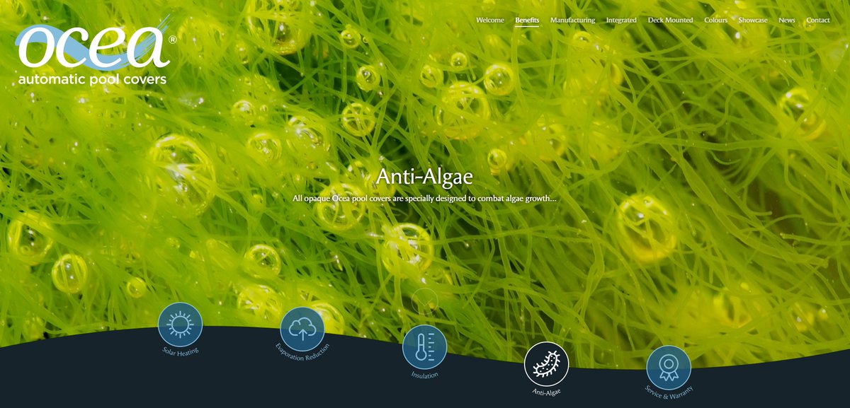 OceaUK's tweet photo. *ANTI-ALGAE POOL COVERS*
All opaque Ocea pool covers are specially designed to combat algae growth... find our more information on our website.
https://t.co/QKFzSvGJGy
@OceaUK @poolandspascene
#SwimmingPoolBuilder #SwimmingPool #PoolBuilder #SwimmingPoolCover #OceaPoolCover https://t.co/KgDaVCqdAf