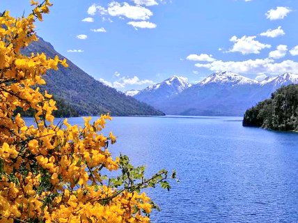 lfsur's tweet photo. #BuenLunes "Todo llega, todo pasa y todo se transforma" LagoLácar #Patagonia 😍 https://t.co/odVlOnKMlh