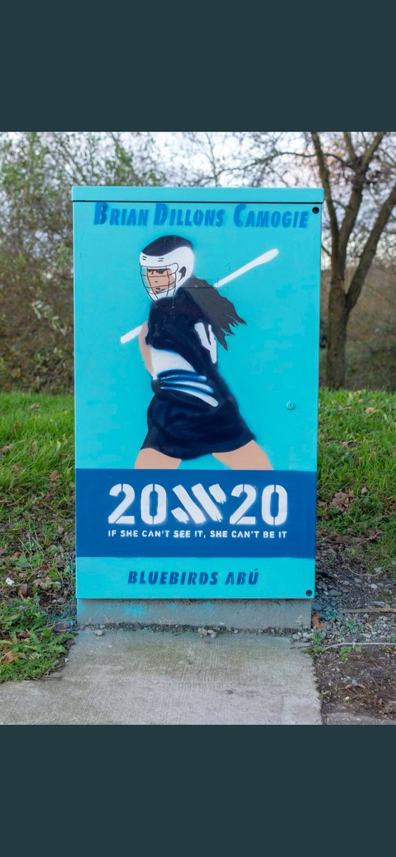 DillonsCamogie's tweet photo. Loving our electricity box mural... Thanks so much @kevob777
@20x20_ie
#bluebirds #20x20 #showyourstripes #noprovingjustmoving #thinkfirst #cantseecantbe https://t.co/glQHmCKXBe