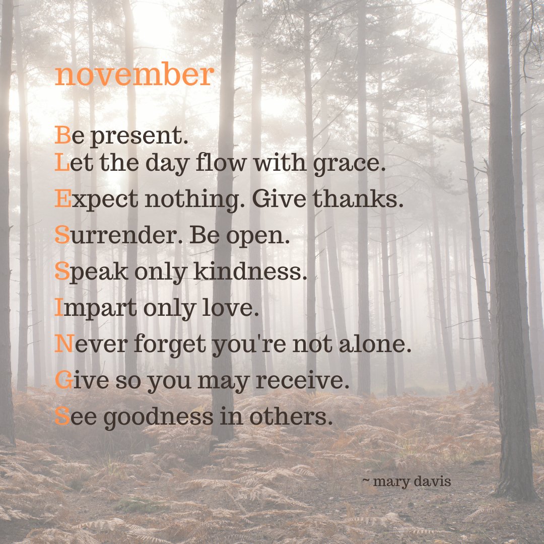 twisteddogyoga's tweet photo. Holiday Week Specials + $5 classes at TDY - https://t.co/KTx1OfuXQ9 https://t.co/Fwn40LQWdK