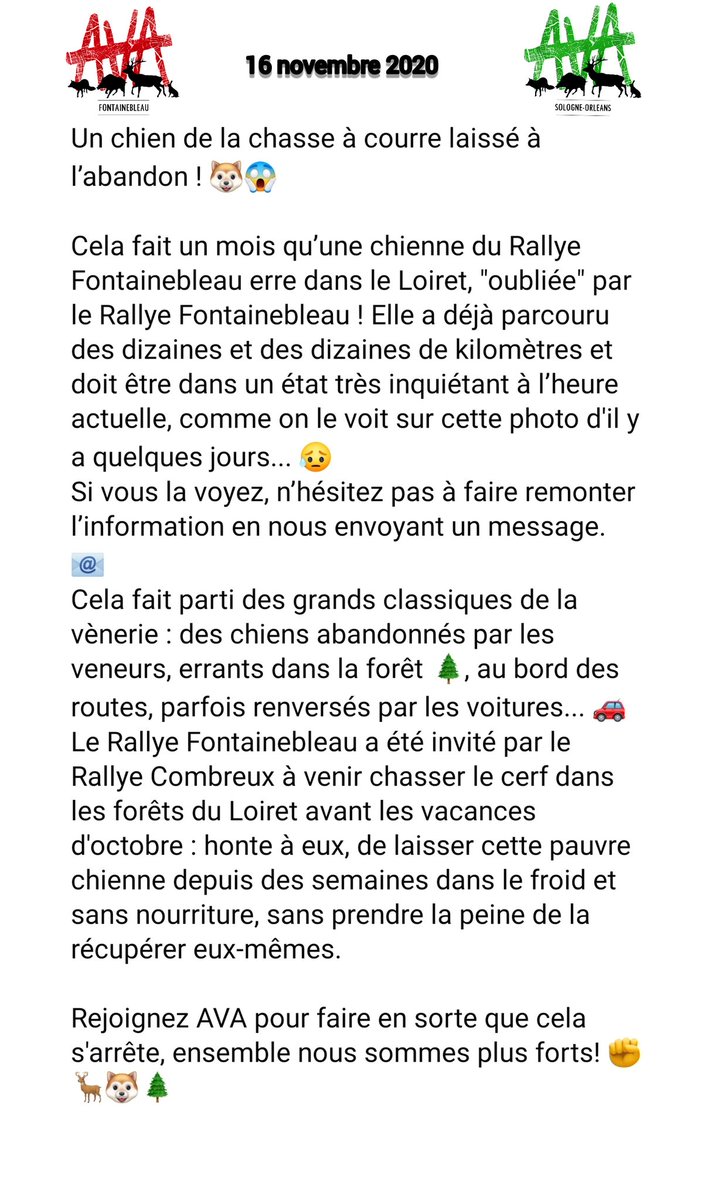 AVA Sologne Orléans tweet media