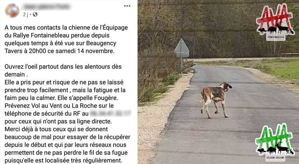 AVA Sologne Orléans tweet media