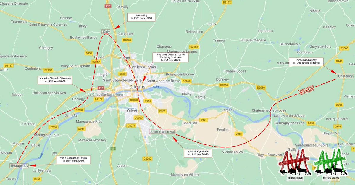 AVA Sologne Orléans tweet media