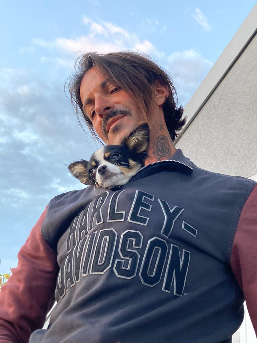 calce_gianluca's tweet photo. ....just I wanna ride with you 🐾🐾🐾#gingilloharley #harleyrocco #soso’ #HarleyDavidson #🐾 https://t.co/2utBvpUTBN