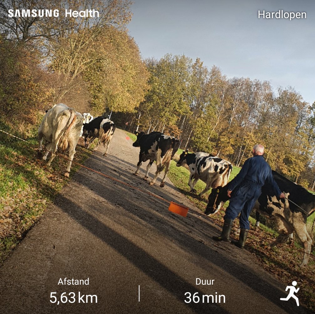 Rondje ... de boer op 🐄