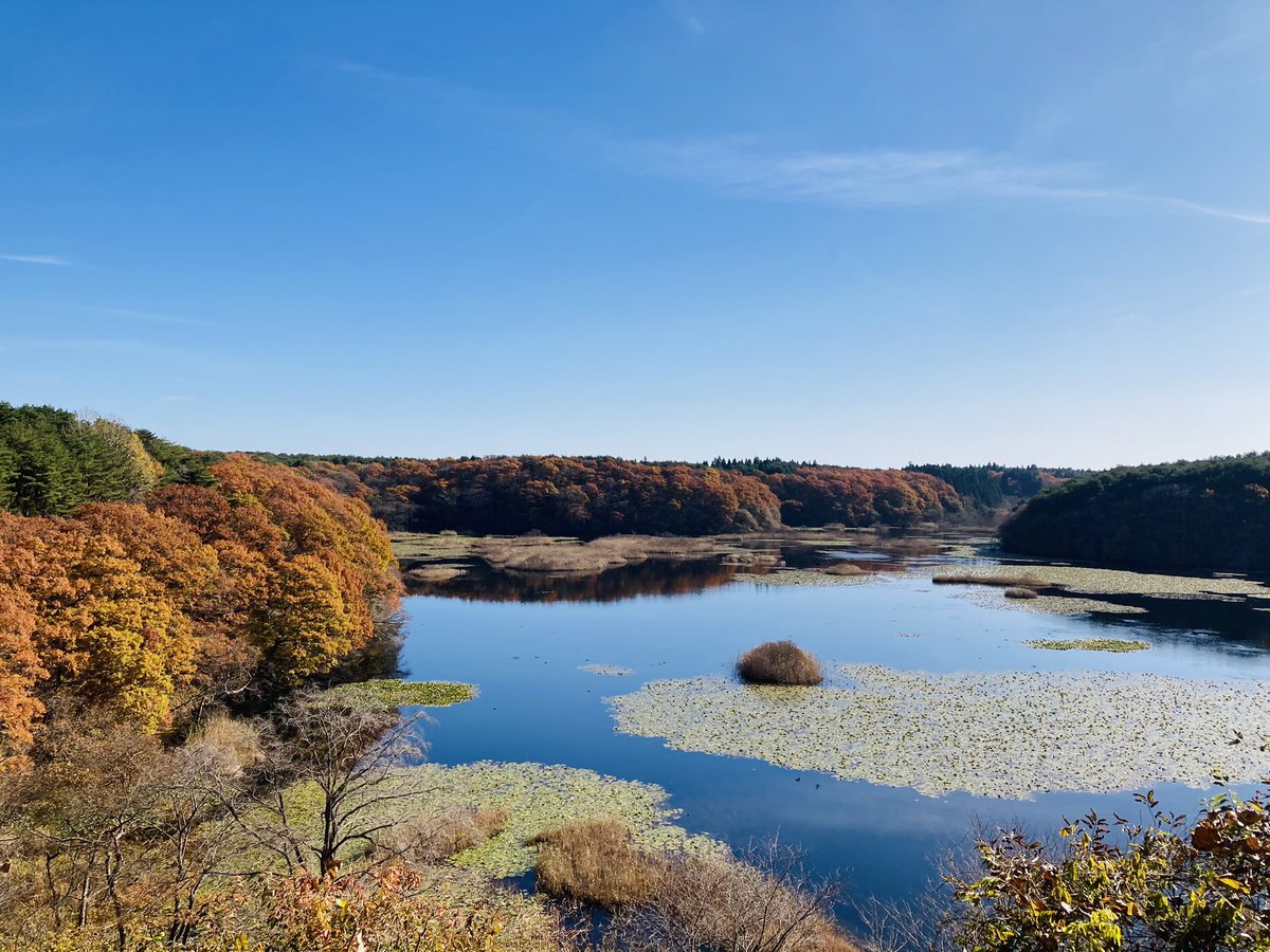 天才なので遠くに行きました。矢印に導かれるように進むんで行くと、湖へとたどり着く。紅葉マジ綺麗。 