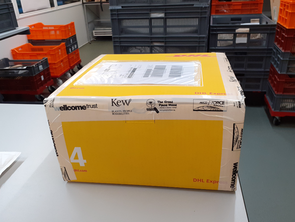CropWildRelativ's tweet photo. A box of #cropwildrelative #sorghum, #fingermillet, #pearlmillet, #pigeonpea seeds ready to go from @KewScience #millenniumseedbank to researchers @CGIAR @ICRISAT #Niamey #Niger as part of the @CropWildRelativ project. https://t.co/gGRqCJtVaP