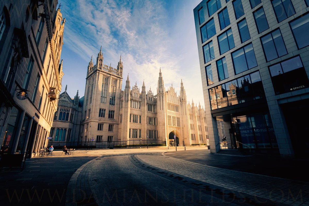 Damian Shields tweet media