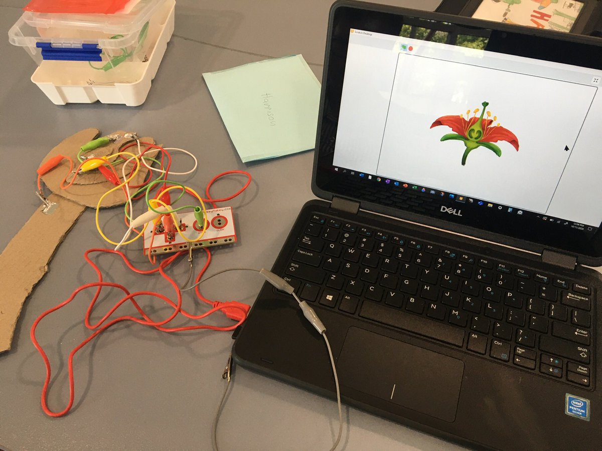 L_Wilson73's tweet photo. 3D cardboard flowers + @scratch + @makeymakey = awesomeness in the classroom! #stem #DigitalTransformation #digitaltechnologies https://t.co/ywaanIejR3