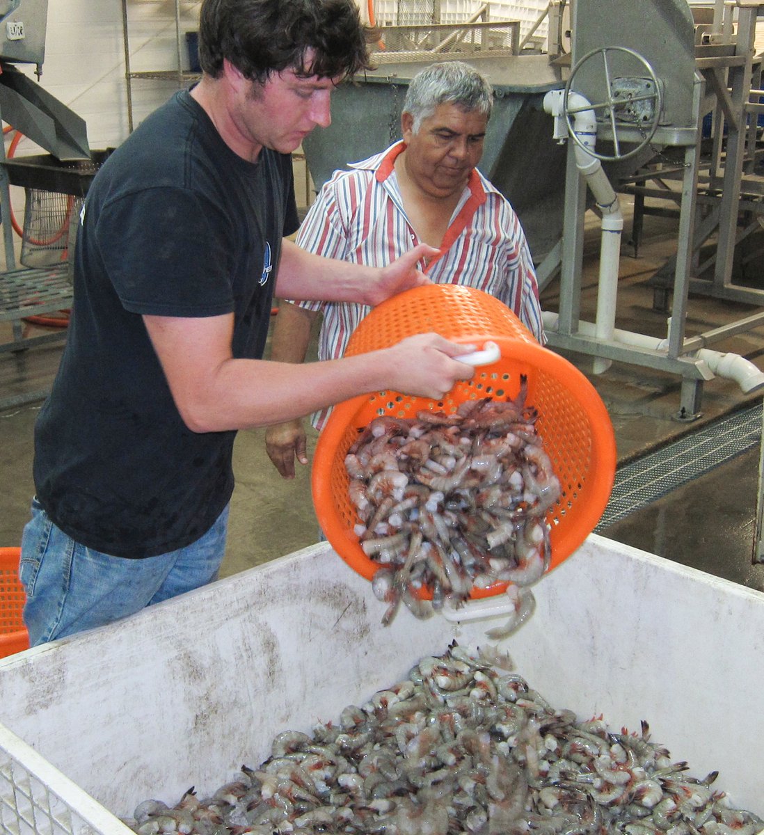 The Council's Shrimp Advisory Panel meets today. Here are the details: gulfcouncil.org/press/2020/gul…