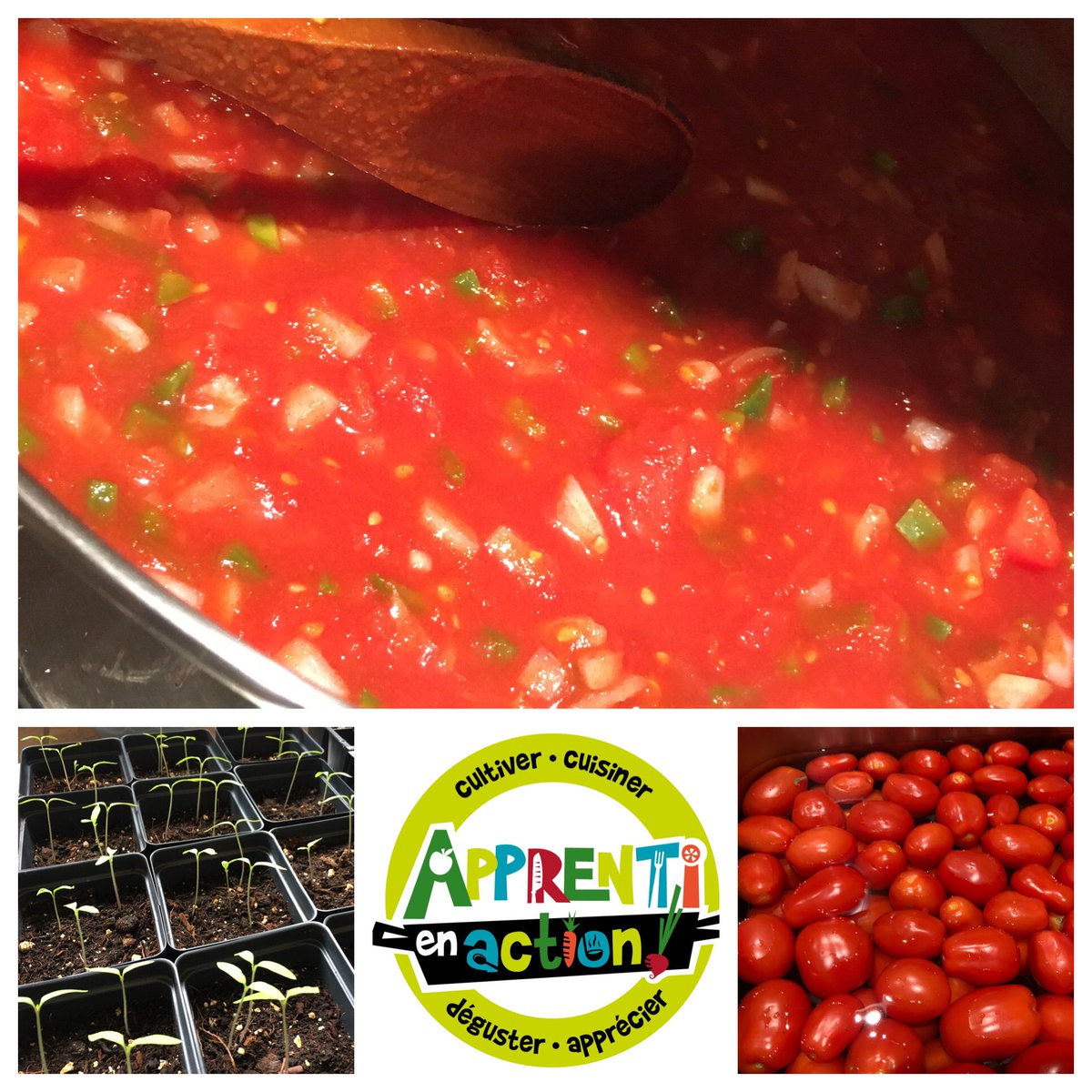 Apprenti en action - Labo éducatif en alimentation tweet media